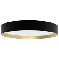 Philips 8720169301337 Hanno Plafonnier LED LED 24 W noir, or Philips 8720169301337 Hanno Plafonnier LED LED 24 W noir, or