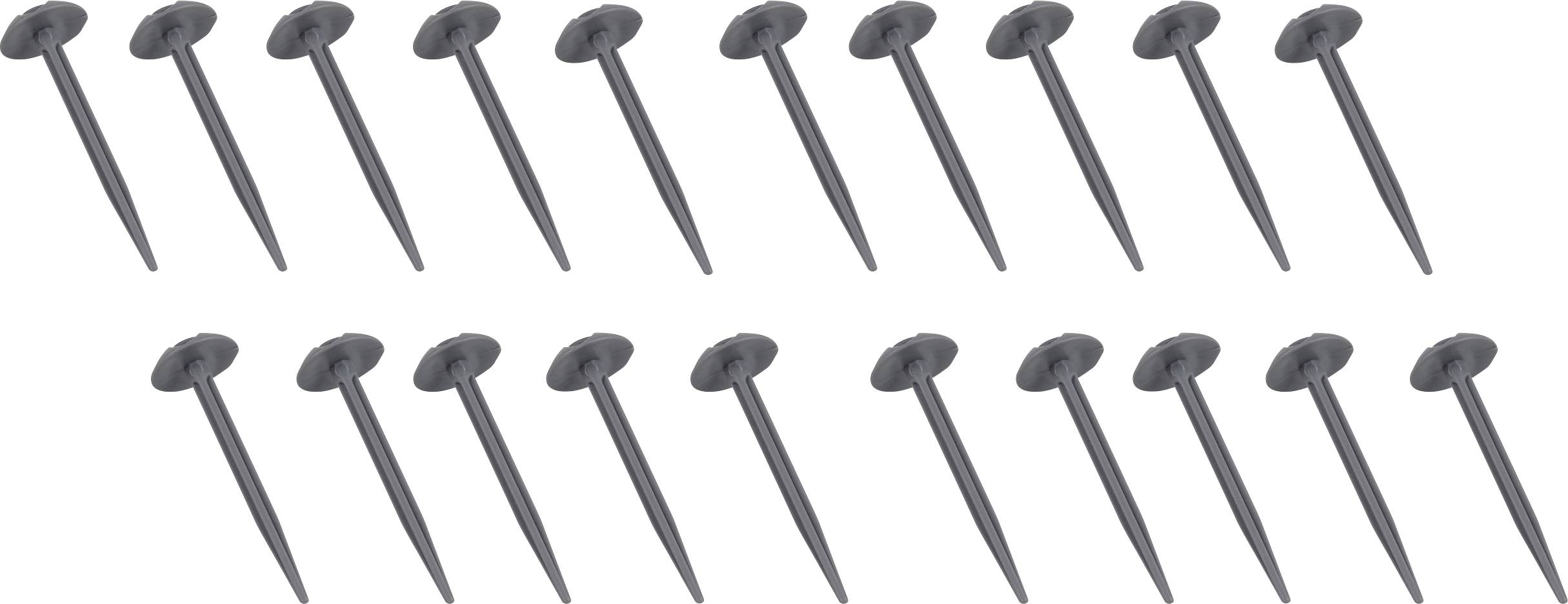 Punaises disposées en trois rangées bien ordonnées, réparties uniformément.