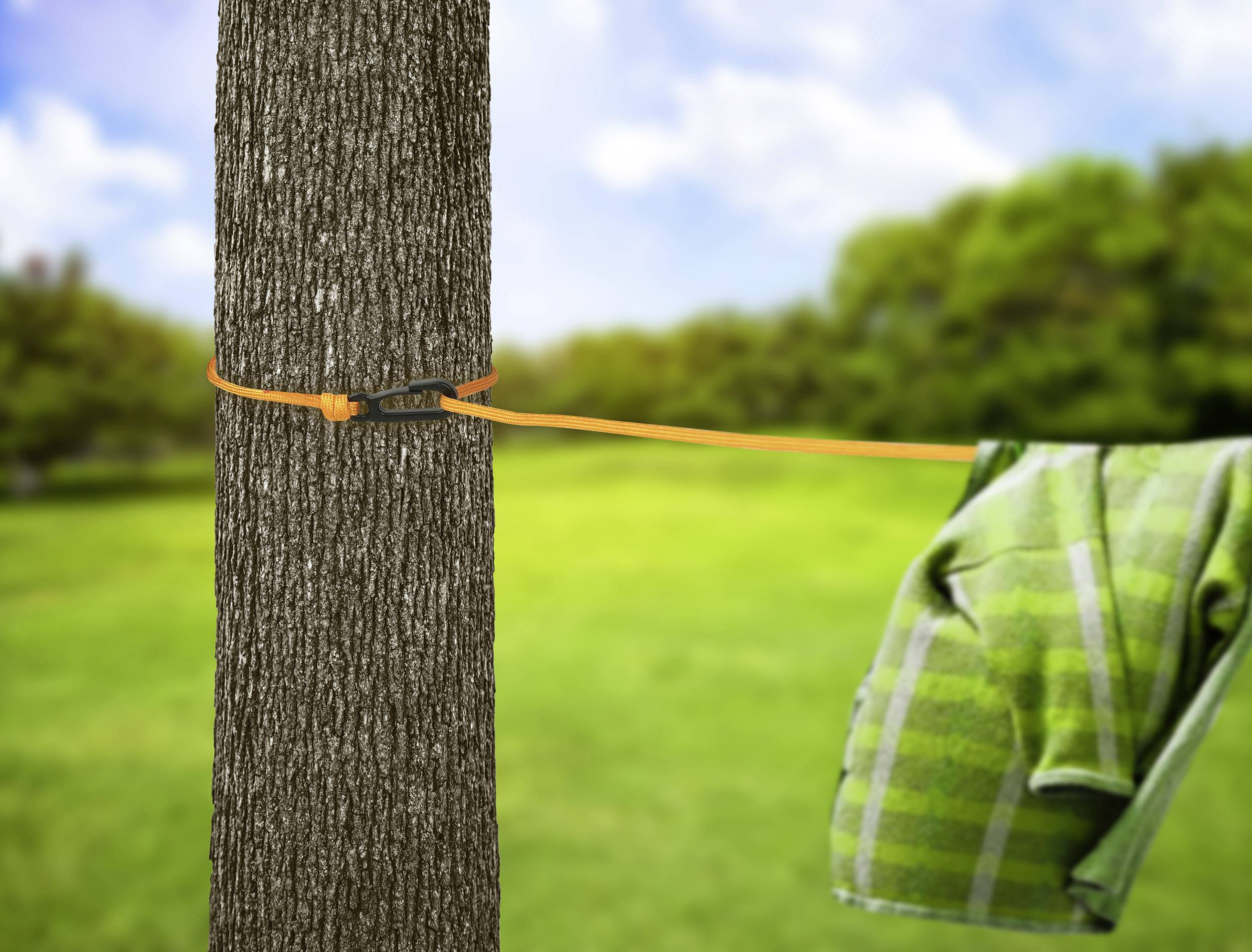 Un arbre à l'extérieur avec une corde orange enroulée autour du tronc. Un t-shirt vert est suspendu à la corde. Une prairie et des arbres sont visibles en arrière-plan.