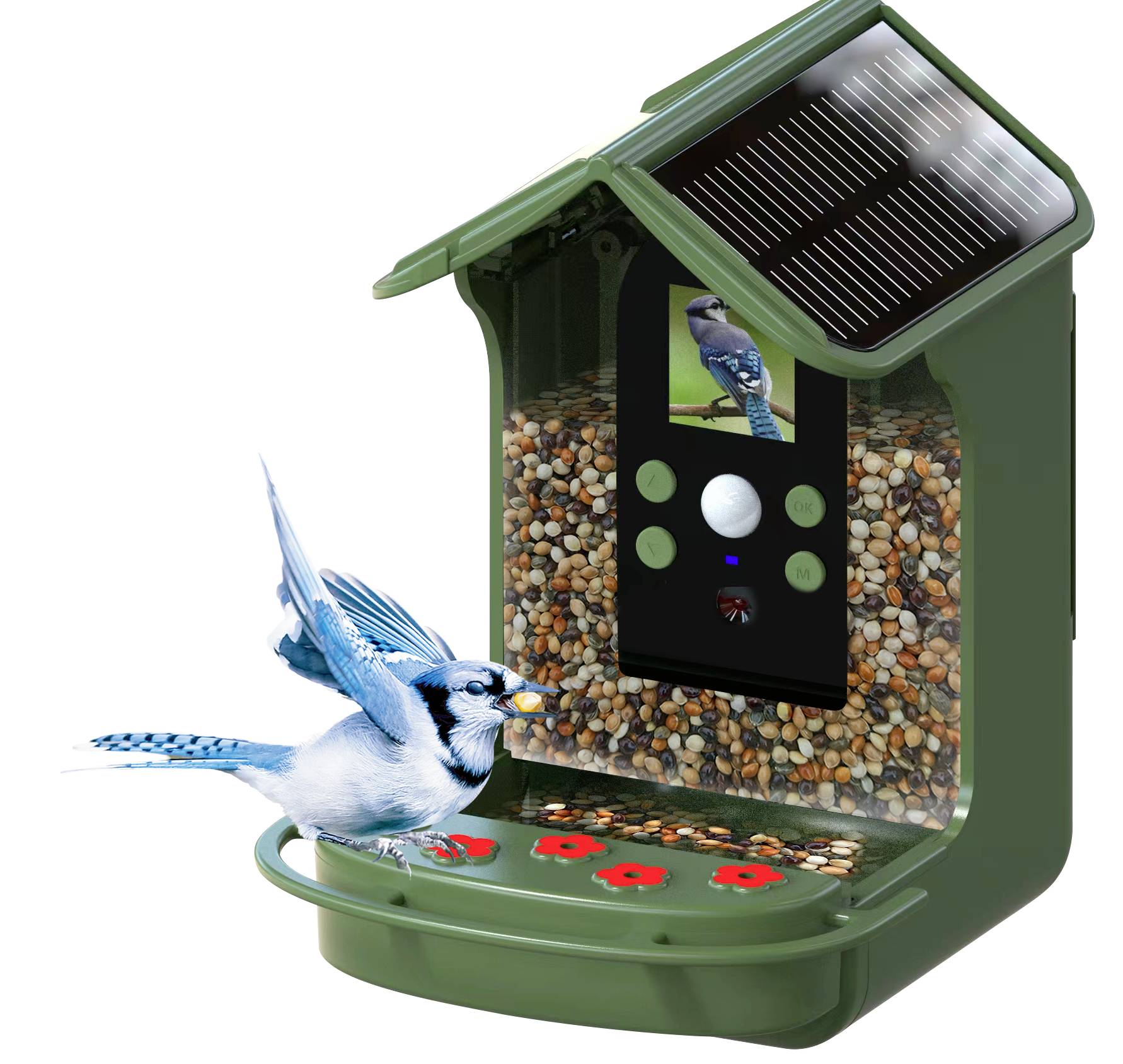 Caméra de chasse Braun Phototechnik Bird Cam 130 Solar avec distributeur de nourriture vert