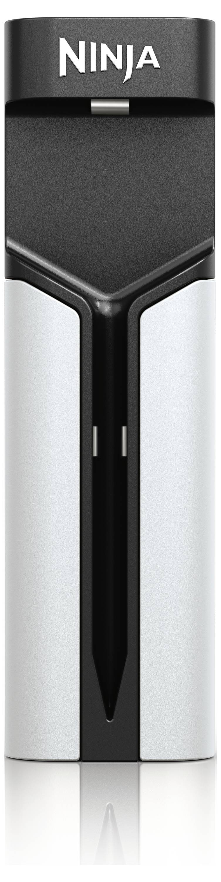 Ninja ProChef Thermomètre de barbecue