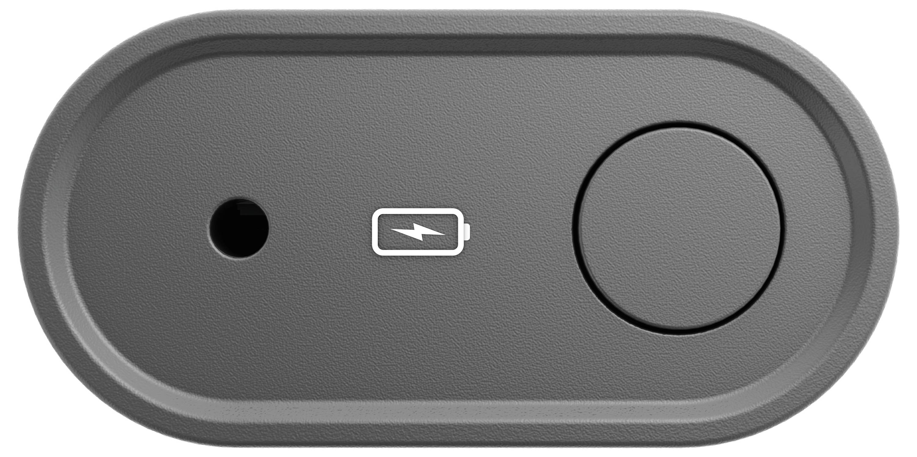 Ninja ProChef Thermomètre de barbecue