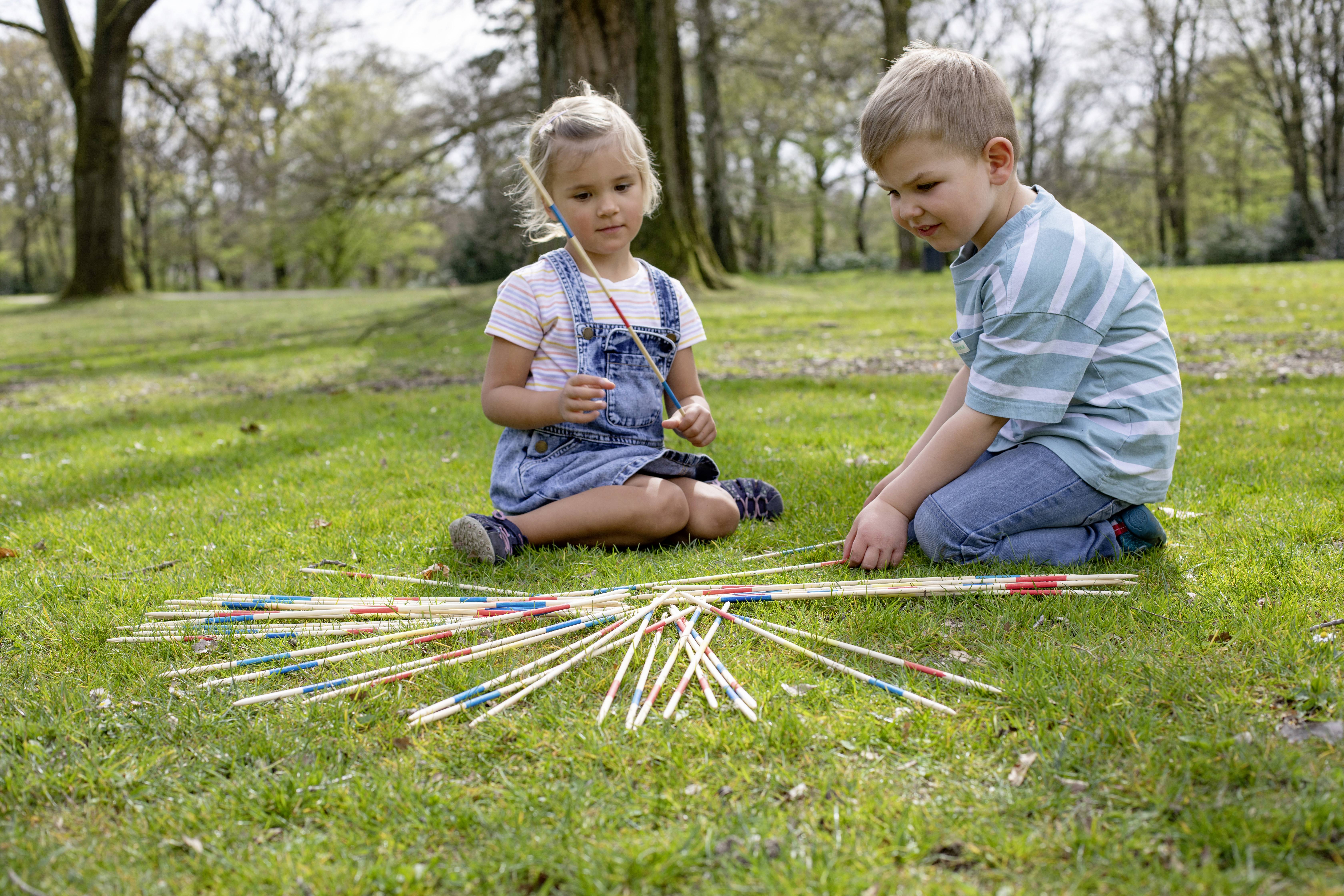 Eichhorn Mikado 100004591 Nombre de joueurs (max.): 4