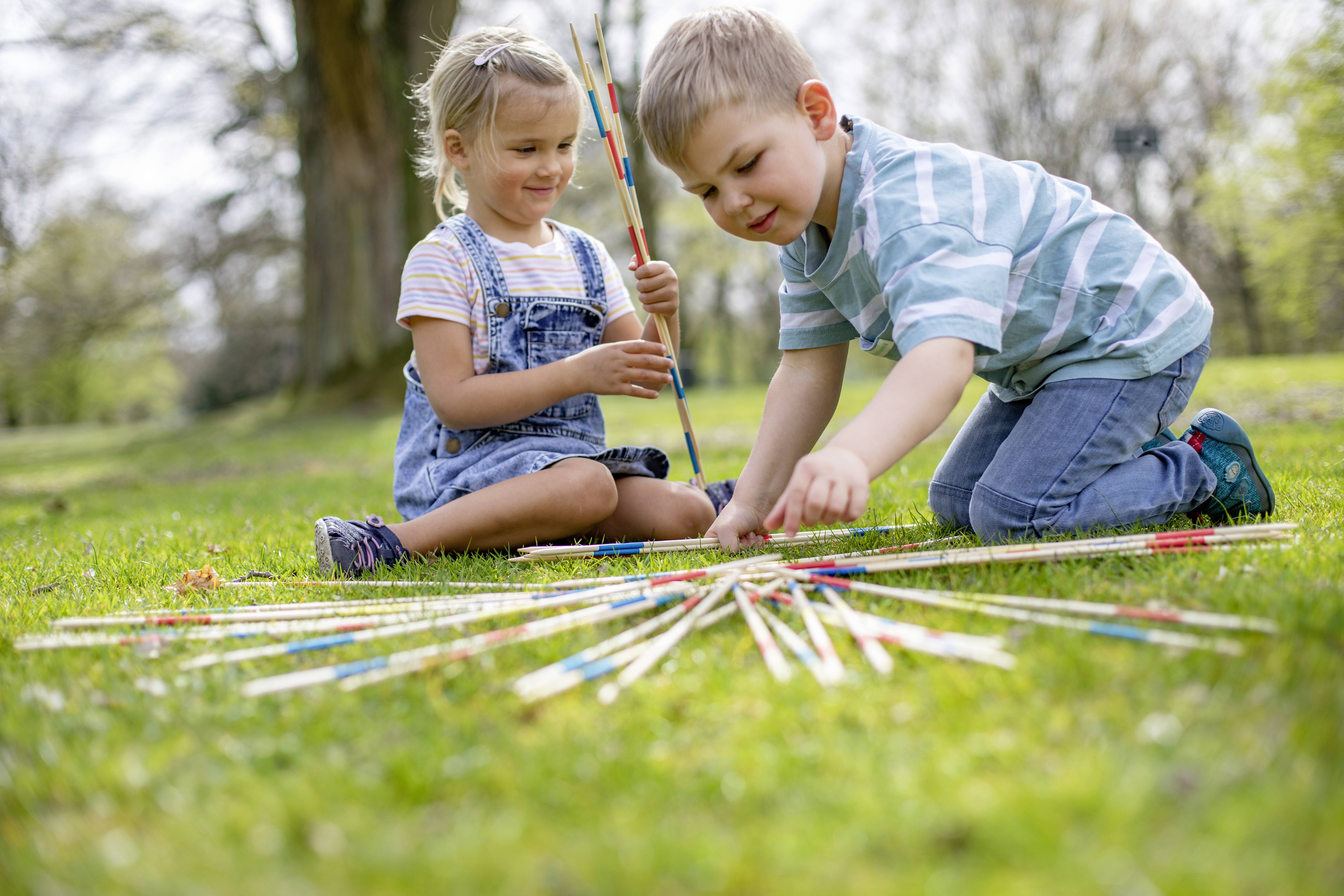 Eichhorn Mikado 100004591 Nombre de joueurs (max.): 4
