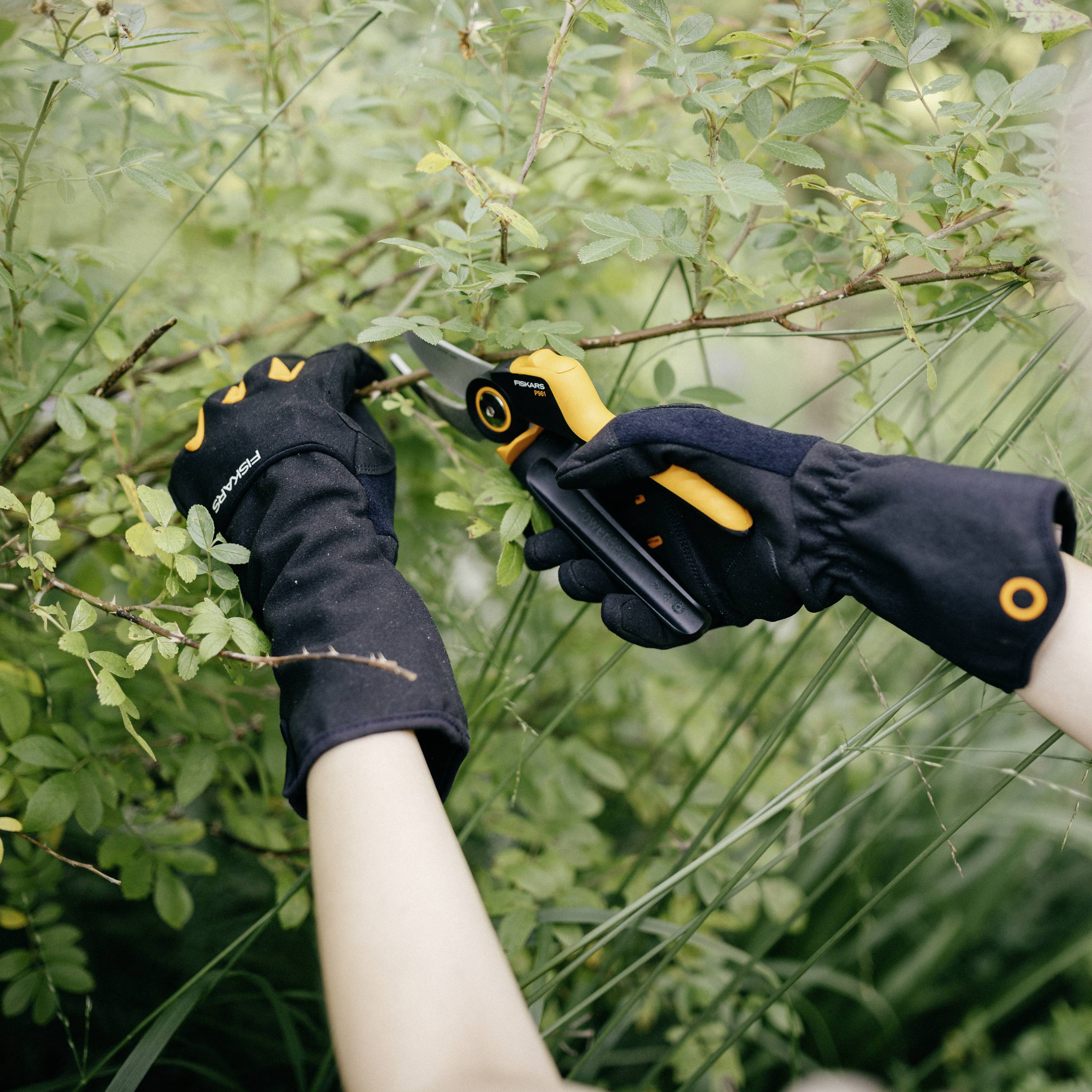 Une personne coupe une plante avec un sécateur. Elle porte des gants noirs. Des feuilles vertes sont visibles en arrière-plan.
