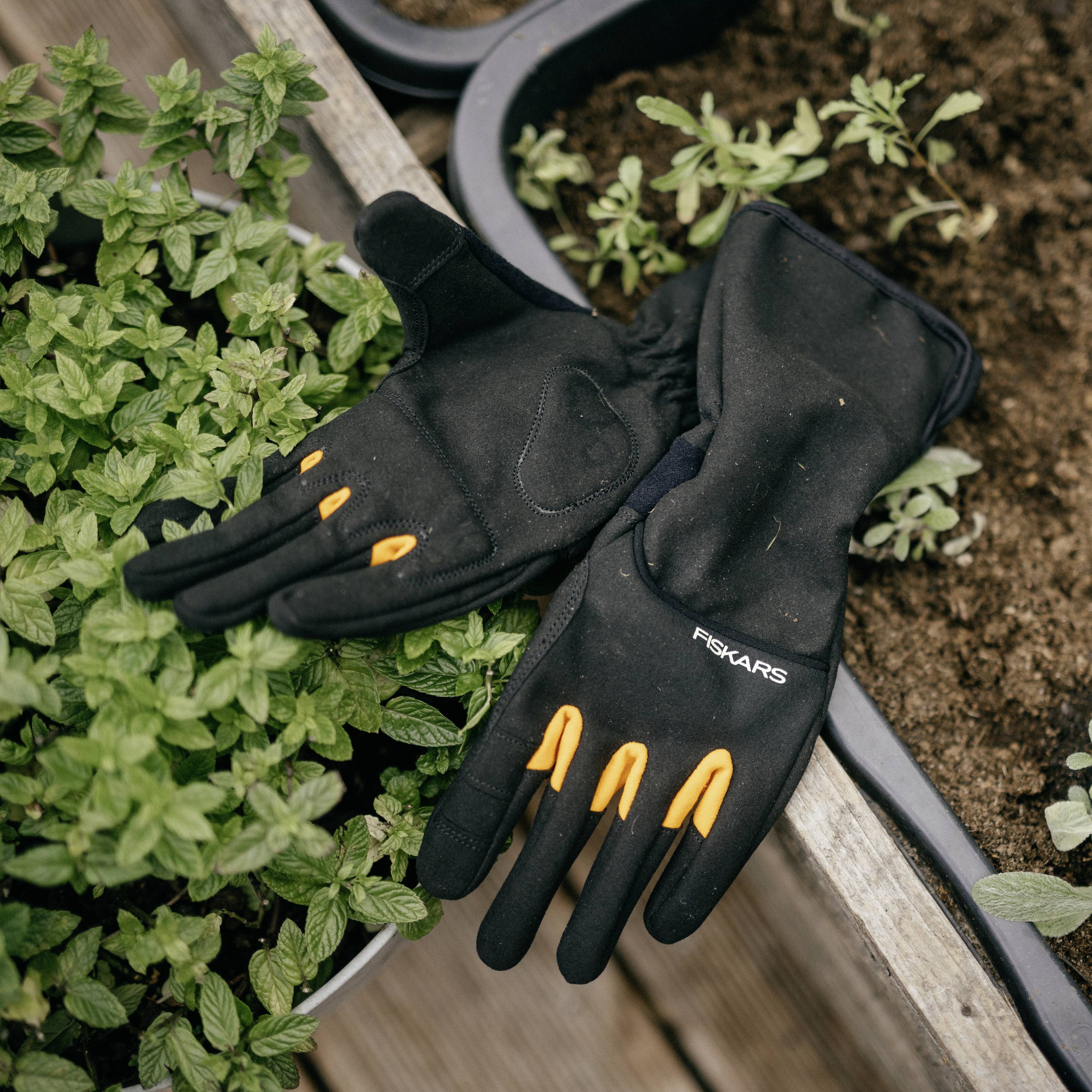 Des gants de jardin sont posés à côté de plants d'herbes vertes dans un carré de culture surélevé, prêts pour le jardinage.