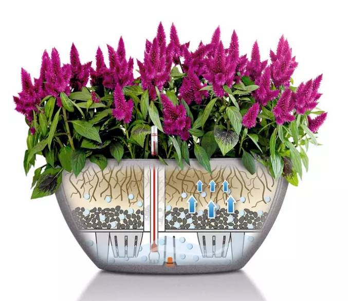 Lechuza Cubeto Stone 13830 Bac à plantes gris roche