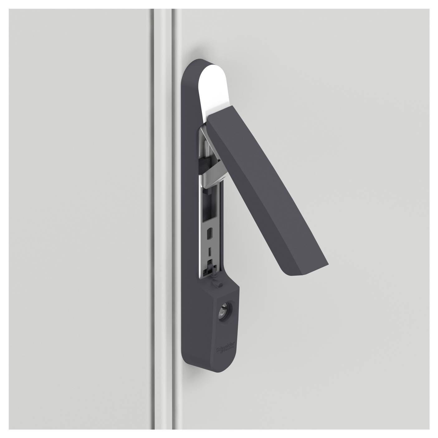 Schneider Electric NSYSFNHS1 1 pc(s)