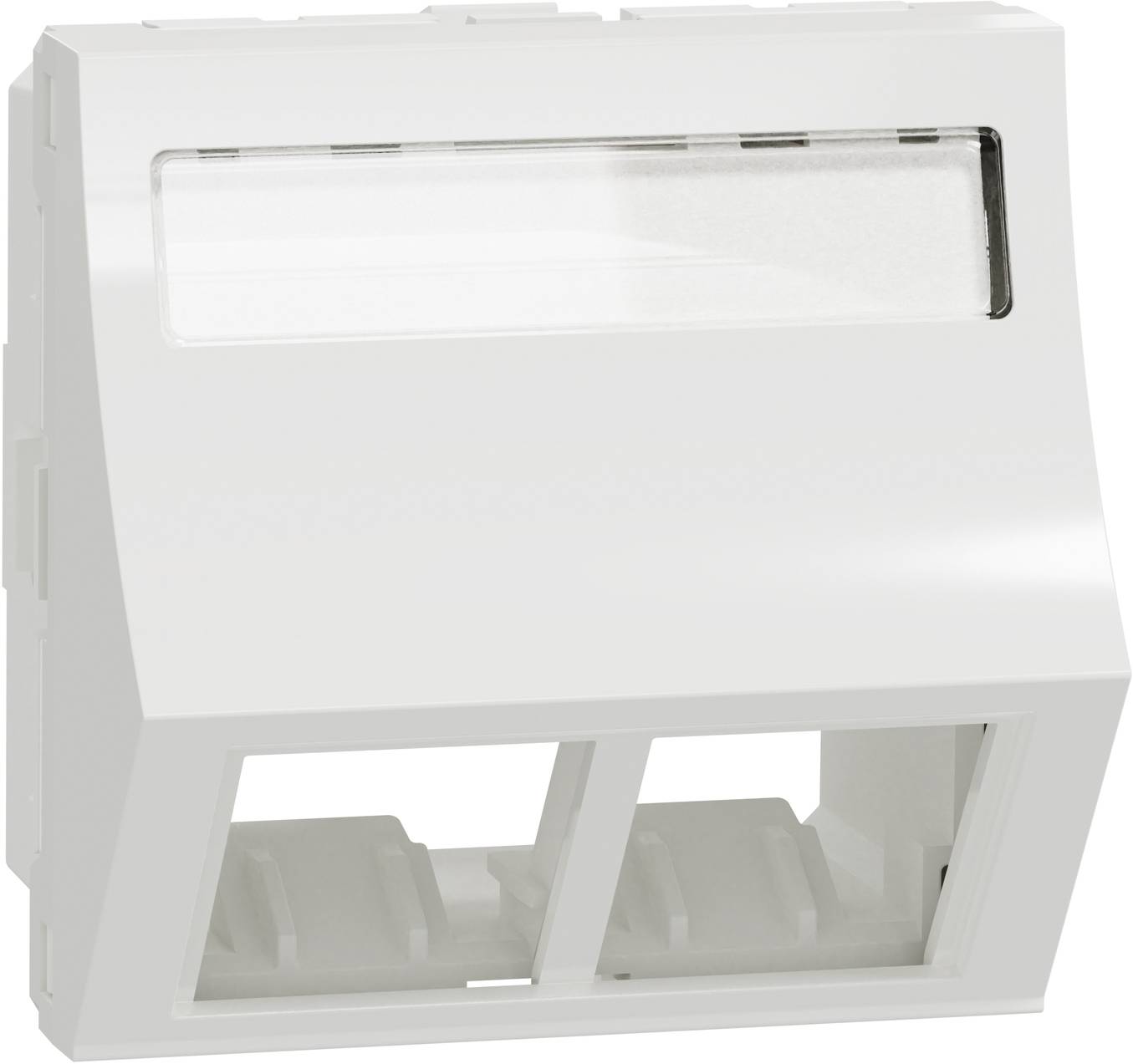 Schneider Electric NU942418 Prise de données 1 pc(s)