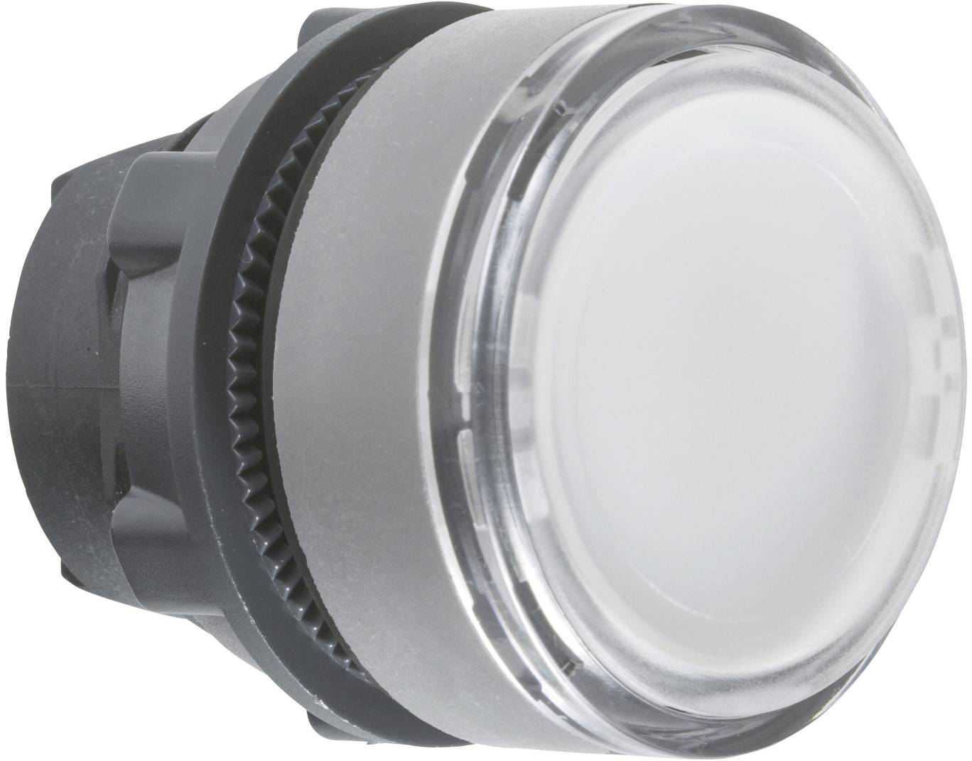 Schneider Electric ZB5AHCUST05 Elément frontal pour bouton-poussoir 1 pc(s)