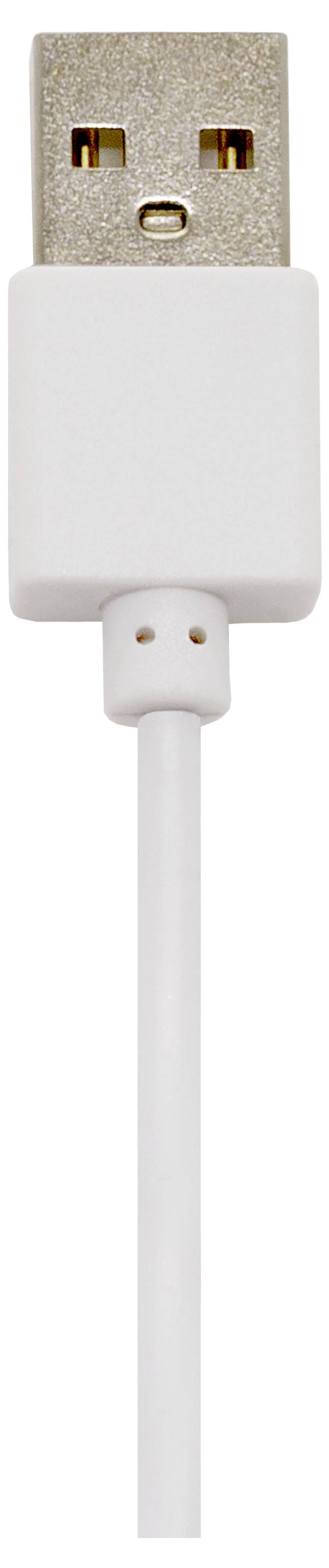 Câble USB avec fiche blanche et câble, taille standard, photographié de haut en bas.