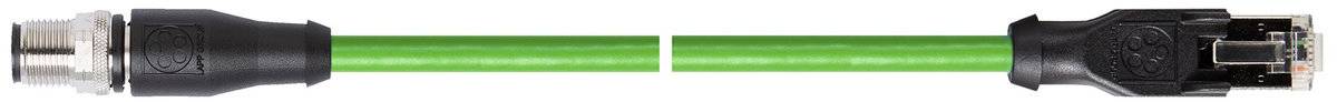 Câble Ethernet vert avec connecteurs noirs aux deux extrémités, pour connexions réseau.