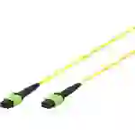 Digitus DK-2966-02 RJ45 Câble réseau, câble patch 2 m jaune, vert, noir extrêmement fin, conducteur intérieur flexible, bande en Digitus DK-2966-02 RJ45 Câble réseau, câble patch 2 m jaune, vert, noir extrêmement fin, conducteur intérieur flexible, bande en