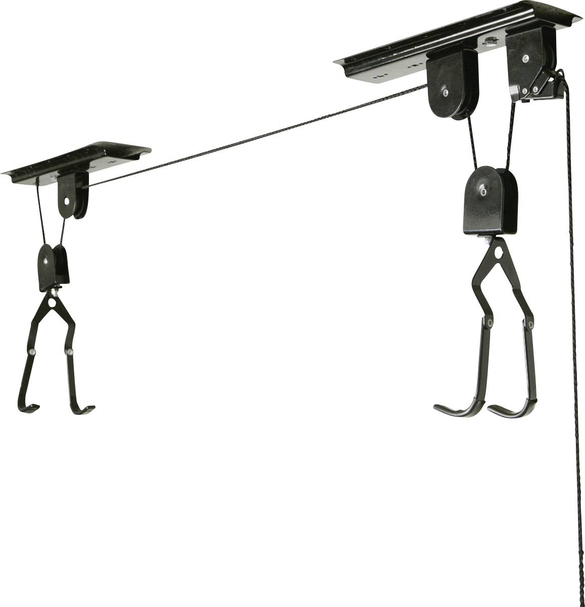 FISCHER FAHRRAD 50386:FISCHER Support à vélo pour plafond Nombre de positions réglables=1 noir