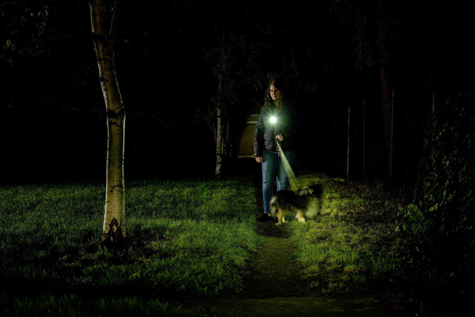 Une personne se promène la nuit avec un chien, éclairée par une lampe de poche. Le chien est tenu en laisse. Environnement sombre avec de l'herbe.