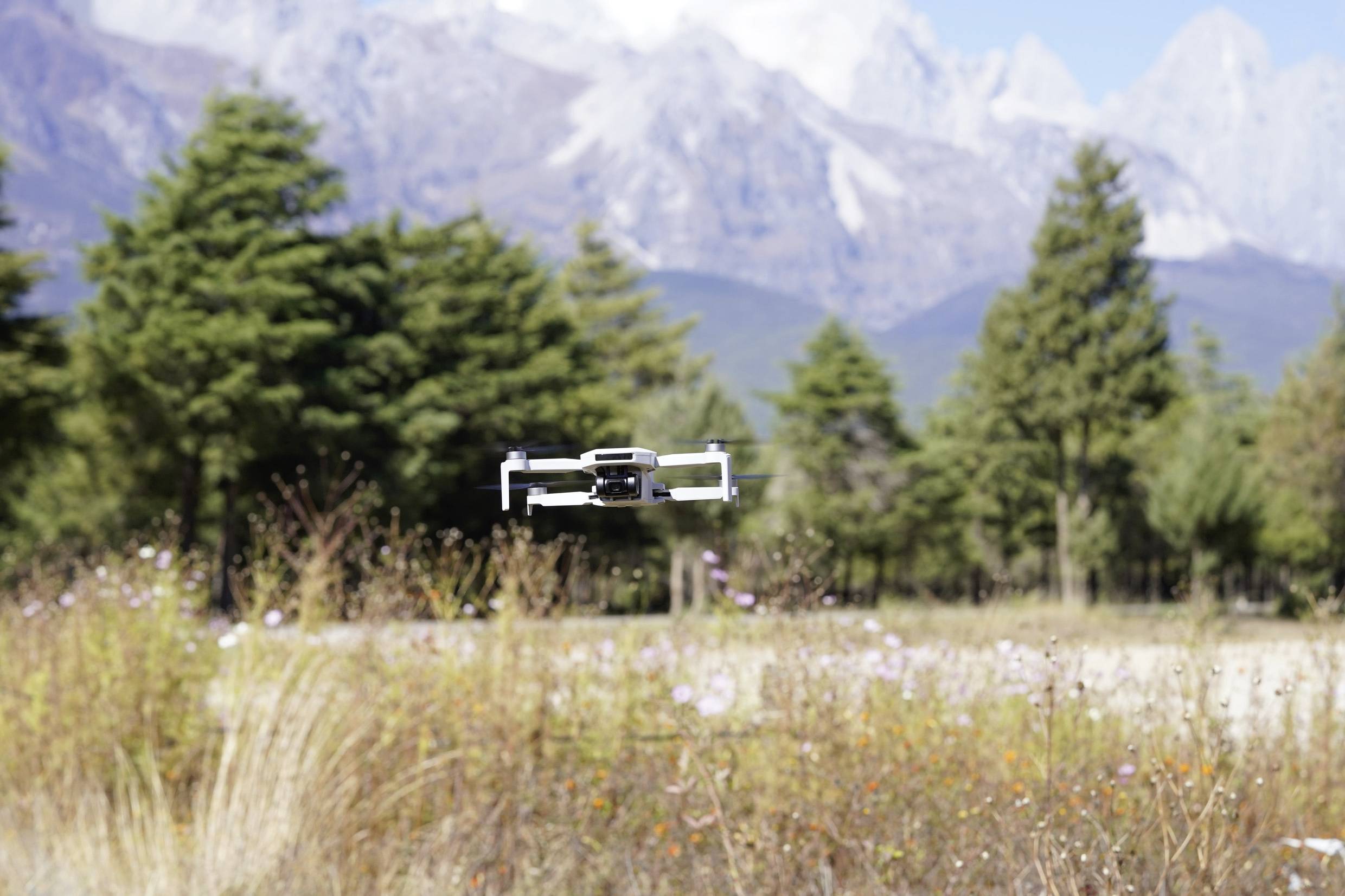 Un drone survole une prairie avec de l'herbe sauvage et des fleurs, des arbres et des montagnes en arrière-plan.