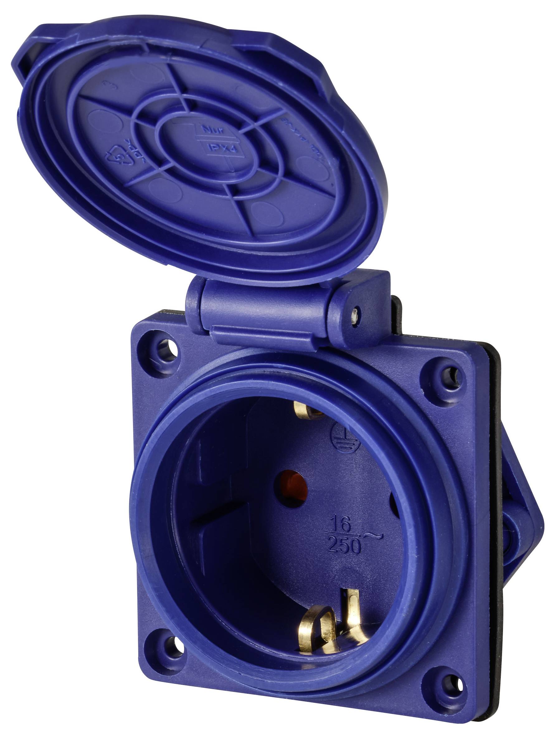Une prise électrique bleue, carrée, avec le couvercle ouvert, montrant la zone de connexion intérieure, adaptée aux applications industrielles.