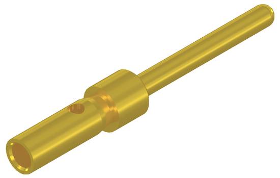 Une broche creuse en métal doré à extrémité tubulaire, typiquement utilisée pour les connexions électriques, présentant un perçage d'isolation.