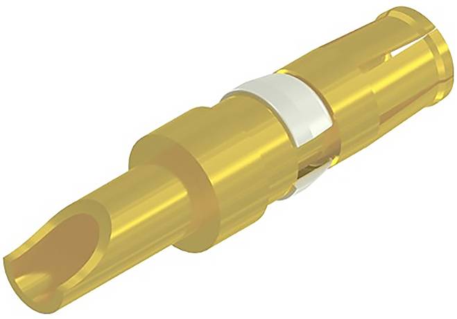Un contact électrique doré avec une pointe striée et une marque annulaire argentée au centre.