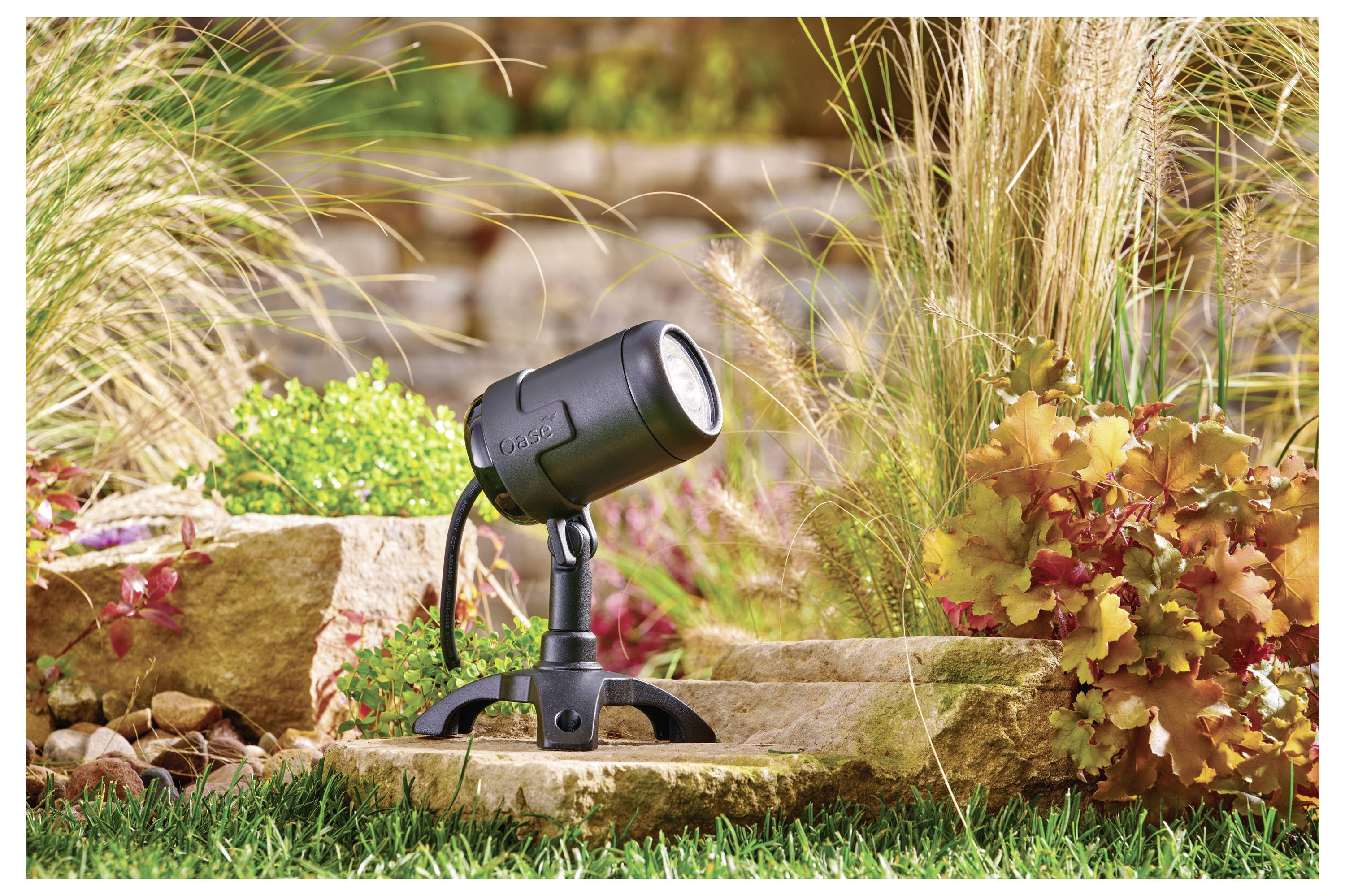 Lampe projecteur extérieur illuminant un jardin aux feuillages colorés et à l'herbe verdoyante, adossée à un mur de pierre en arrière-plan, créant une ambiance chaleureuse.