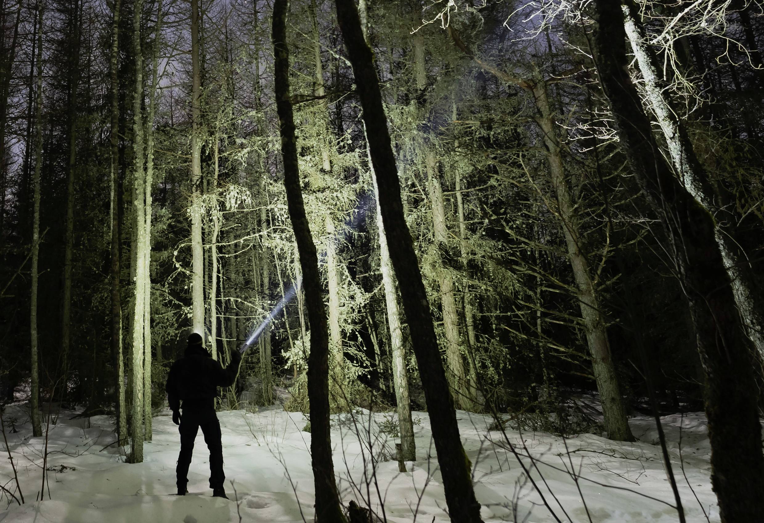 Une personne éclaire une forêt enneigée avec une lampe de poche. Les arbres sont dénudés, et le sol est recouvert de neige.