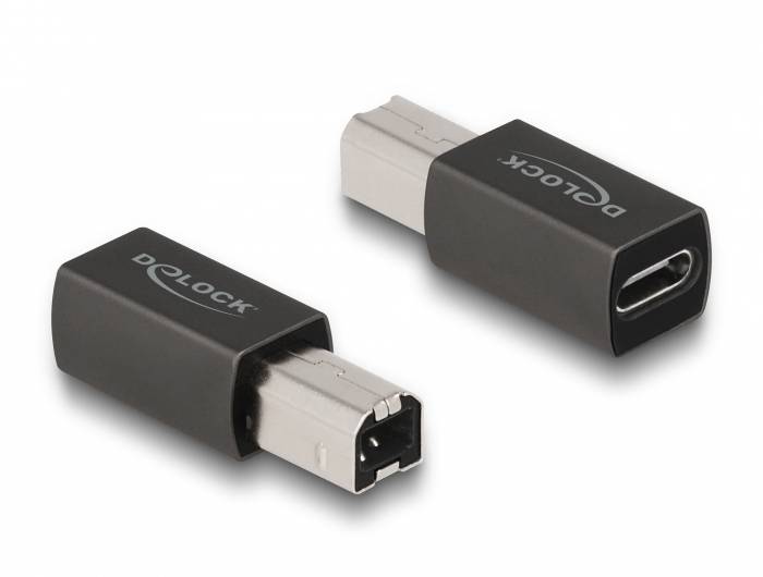 Deux adaptateurs noirs : l'un montre le connecteur USB-C, l'autre la fiche à quatre broches. La marque 'DeLOCK' est visible sur les boîtiers.