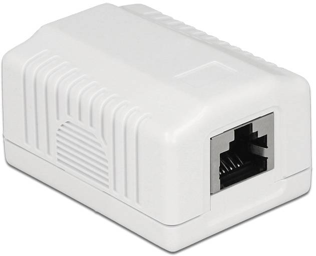 Delock Prise réseau montage apparent (en saillie) CAT 6a blanc