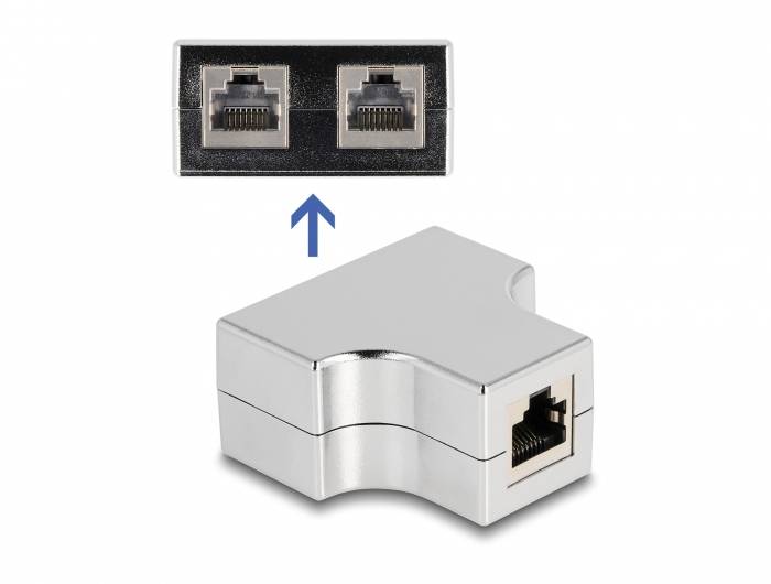 Delock RJ45 réseau informatique Adaptateur [1x RJ45 femelle - 2x RJ45 femelle] argent