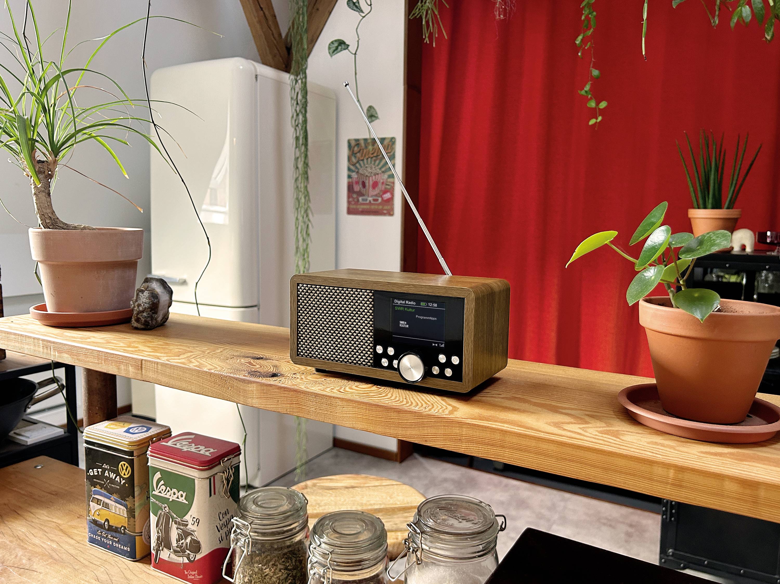 Dynavox Récepteur universel DAB+, FM, DAB DAB+, Bluetooth, SD, USB marron