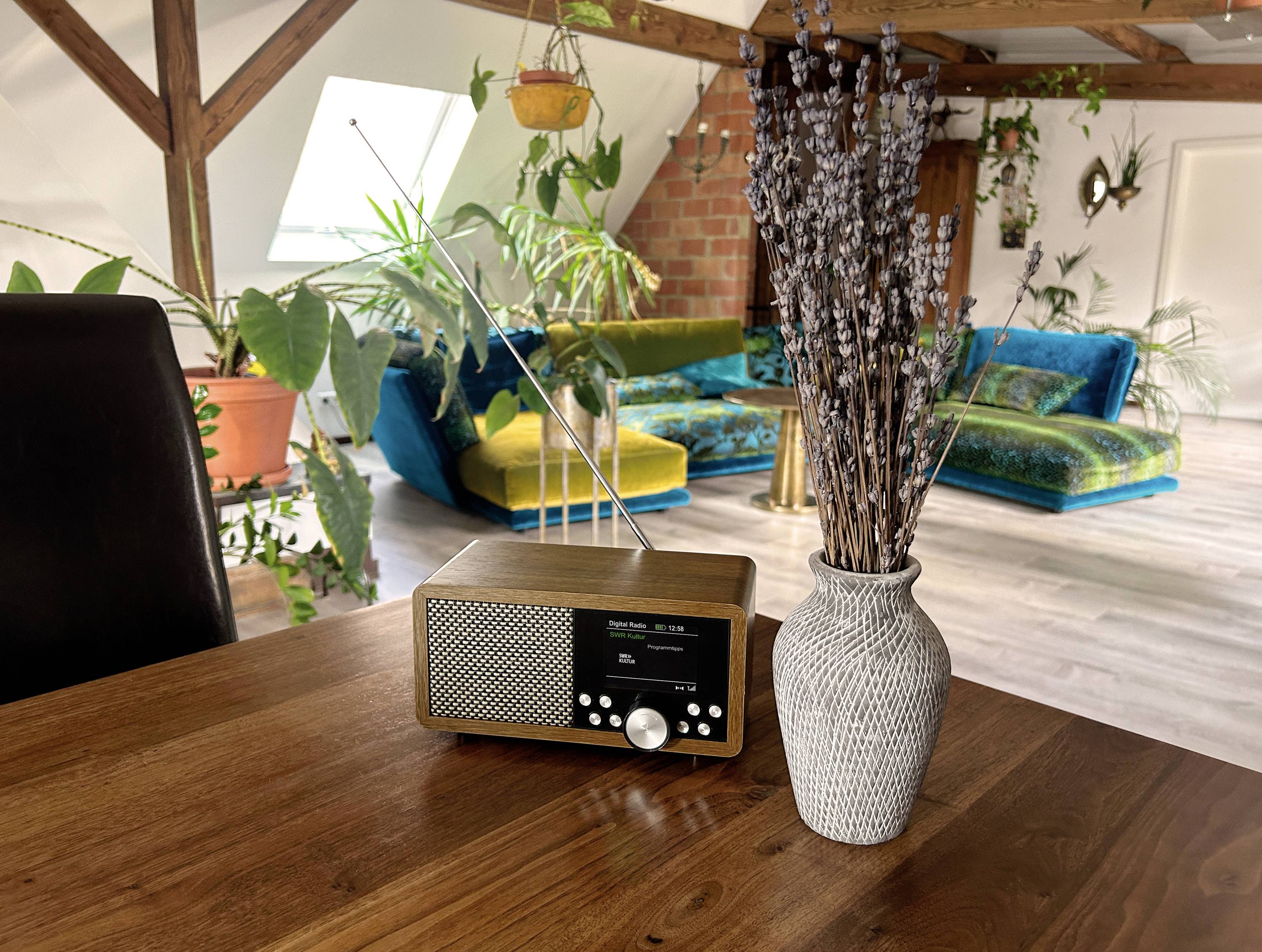 Dynavox Récepteur universel DAB+, FM, DAB DAB+, Bluetooth, SD, USB marron