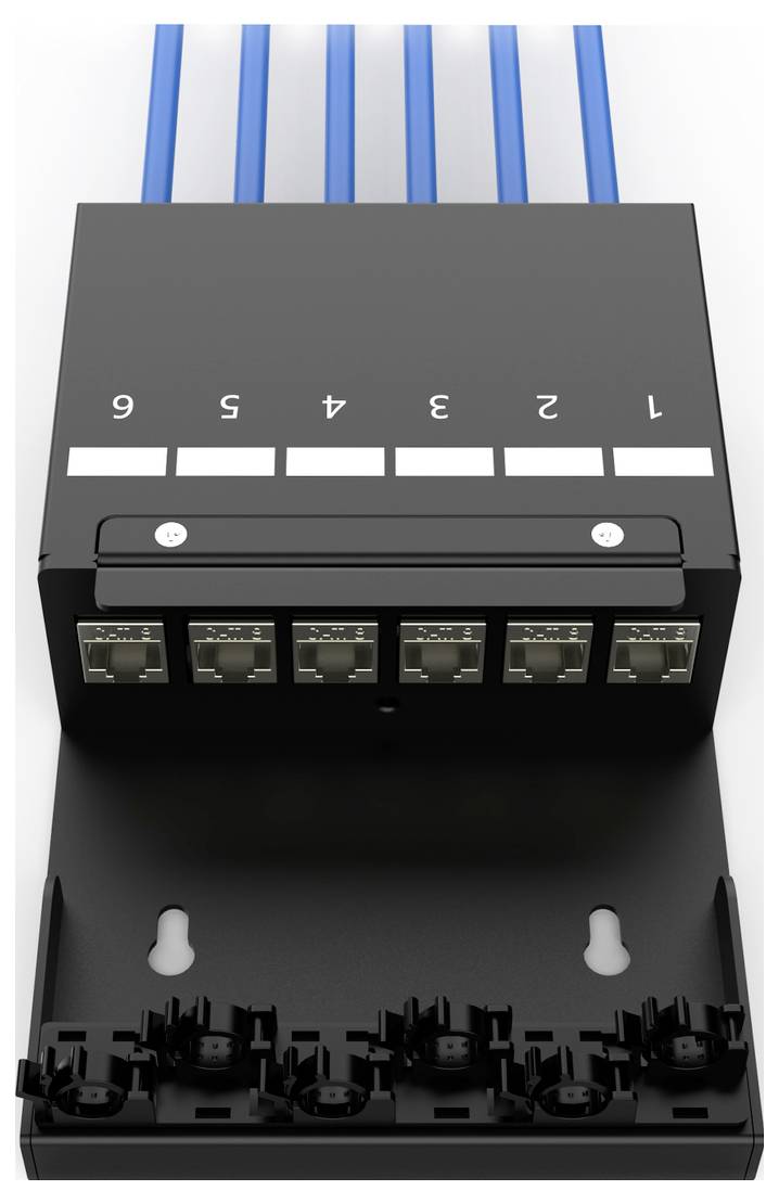 Digitus DN-93708-6 Support pour module RJ45 Keystone non équipé 1 pc(s)