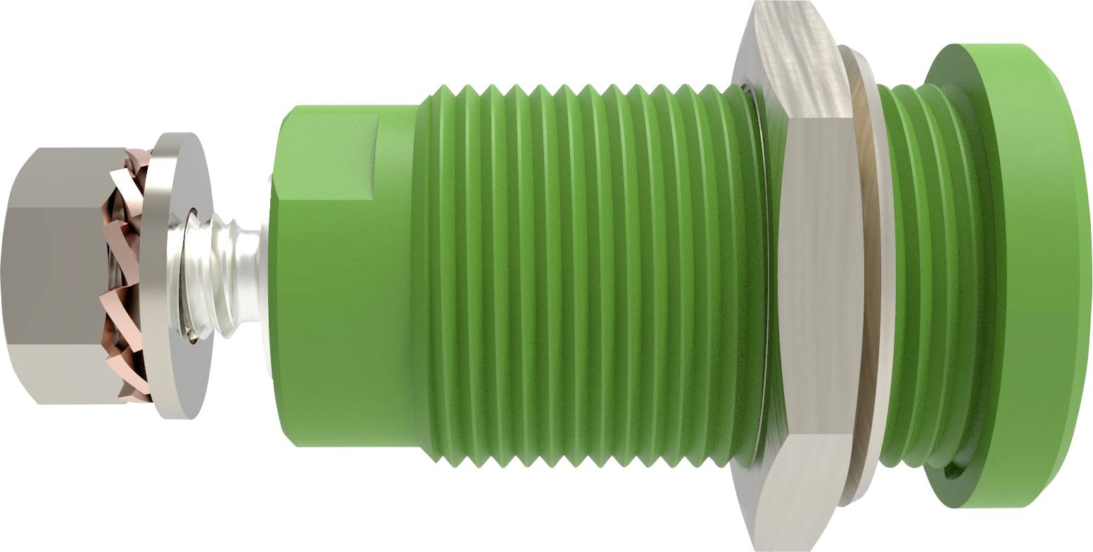 Schützinger DI SEB 9424 Ni / GN Prise encastrée de sécurité droit vert 1 pc(s)