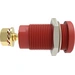 Schützinger DI SEB 9424 Au / RT Prise encastrée de sécurité droit rouge 1 pc(s) Schützinger DI SEB 9424 Au / RT Prise encastrée de sécurité droit rouge 1 pc(s)