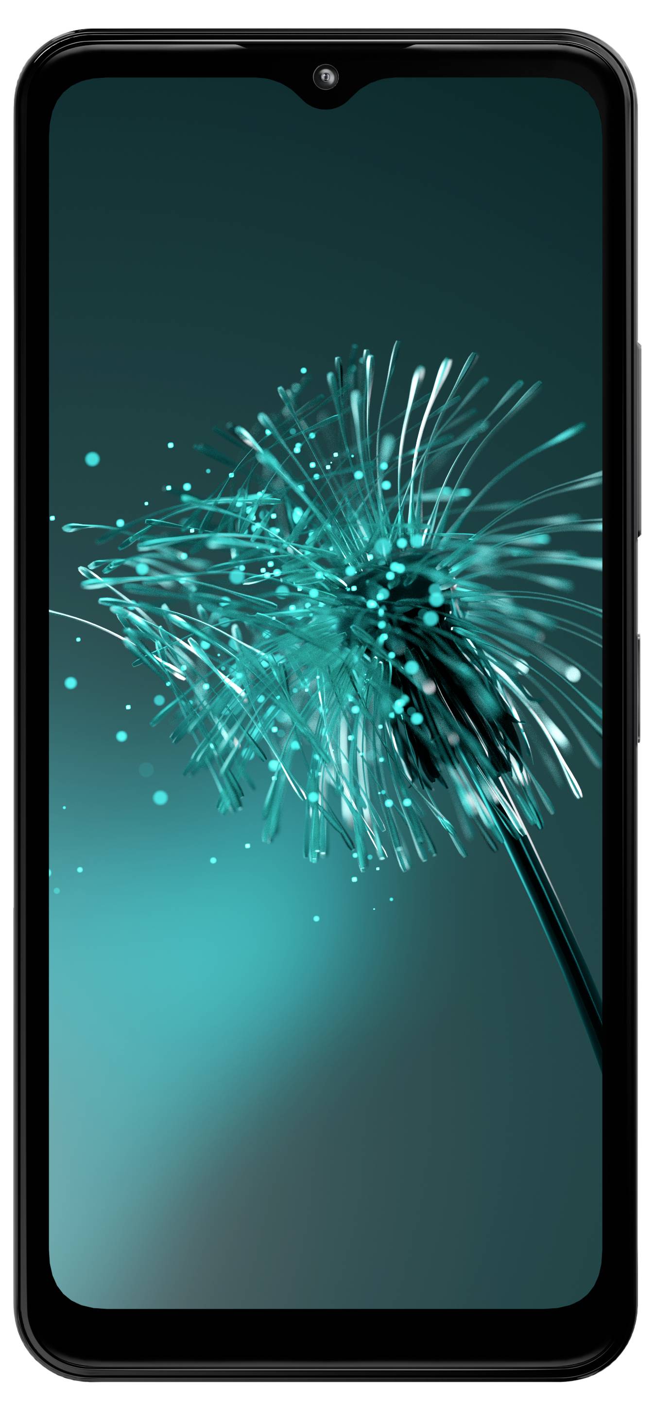 Un smartphone affichant un pissenlit en gros plan sur un fond turquoise.