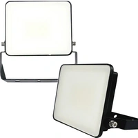 Müller-Licht Miami 21600061 Projecteur LED extérieur 30 W Couleur d'éclairage (ampoule LED): blanc neutre Müller-Licht Miami 21600061 Projecteur LED extérieur 30 W Couleur d'éclairage (ampoule LED): blanc neutre