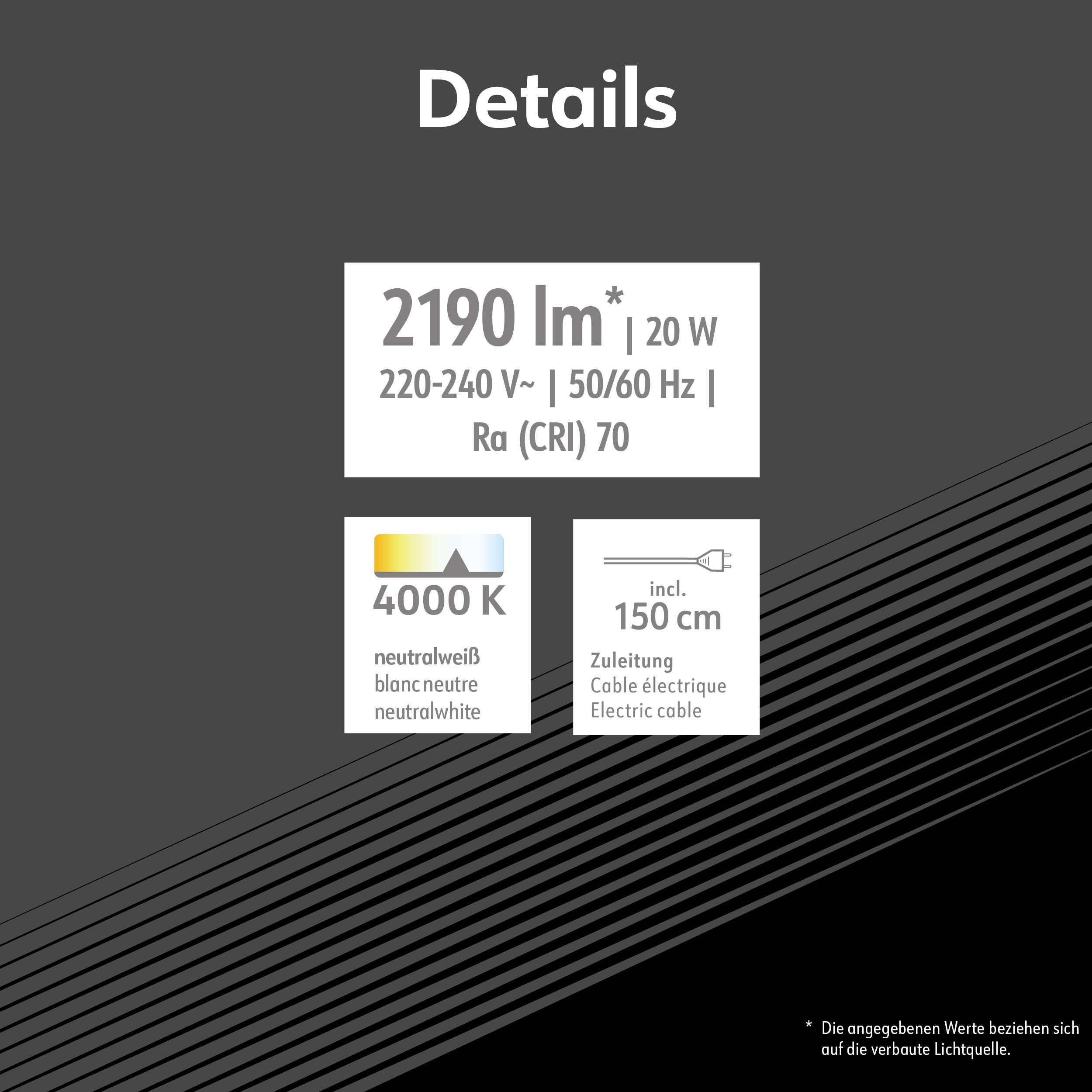 Müller-Licht Denver Projecteur de chantier à LED 20 W 2190 lm blanc neutre 21600052