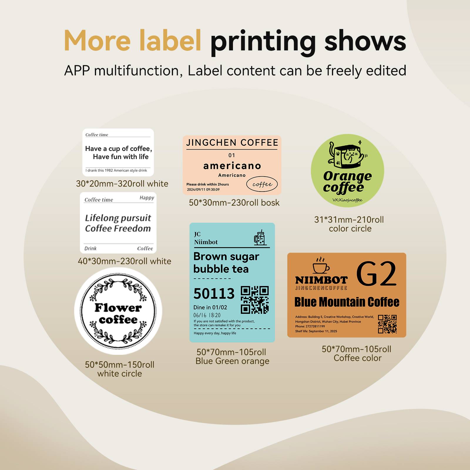 NIIMBOT B21 Pro Wireless Imprimante photo Résolution d'impression: 300 x 300 dpi