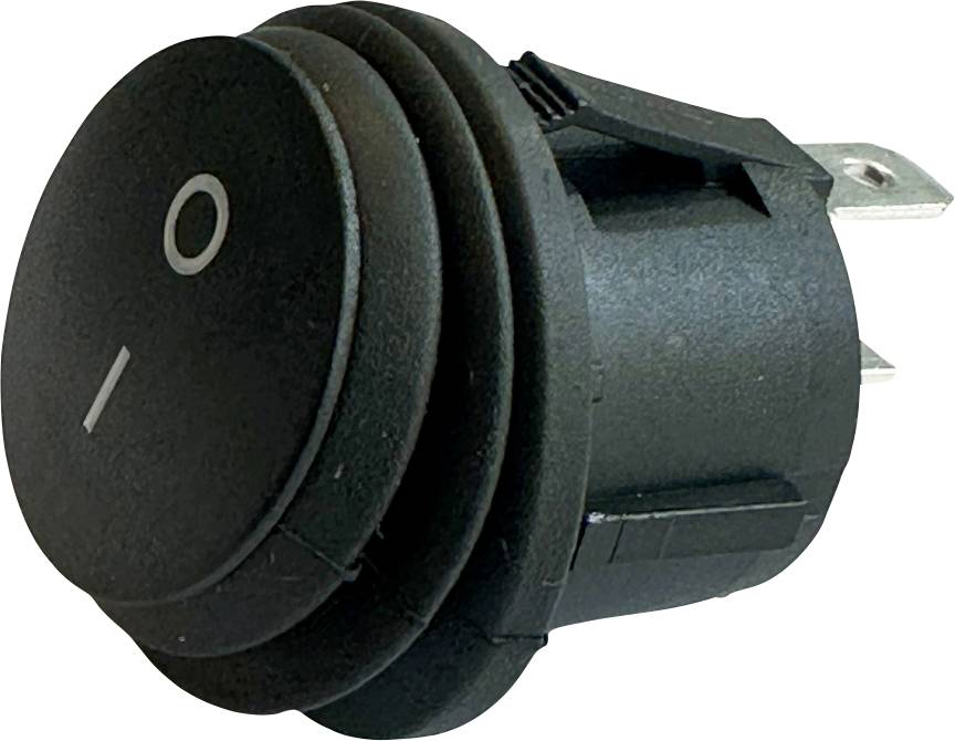 interBär 3630-656.21 Interrupteur à bascule 250 V 8 A 1 x Off/On 1 pc(s)