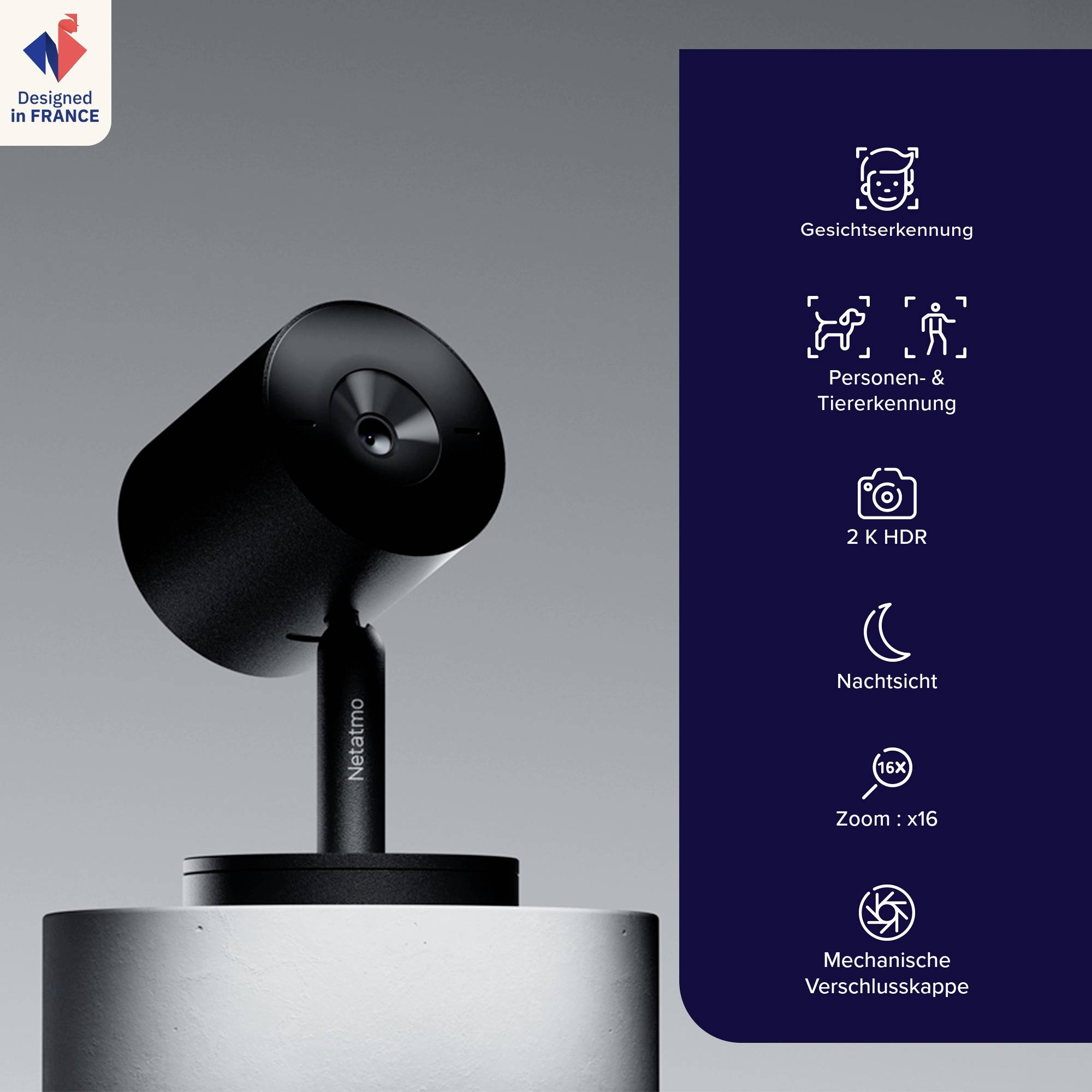 WOLF-Garten 3826650 TURBO-réplique LR-S 250 D/A 1 pc(s)