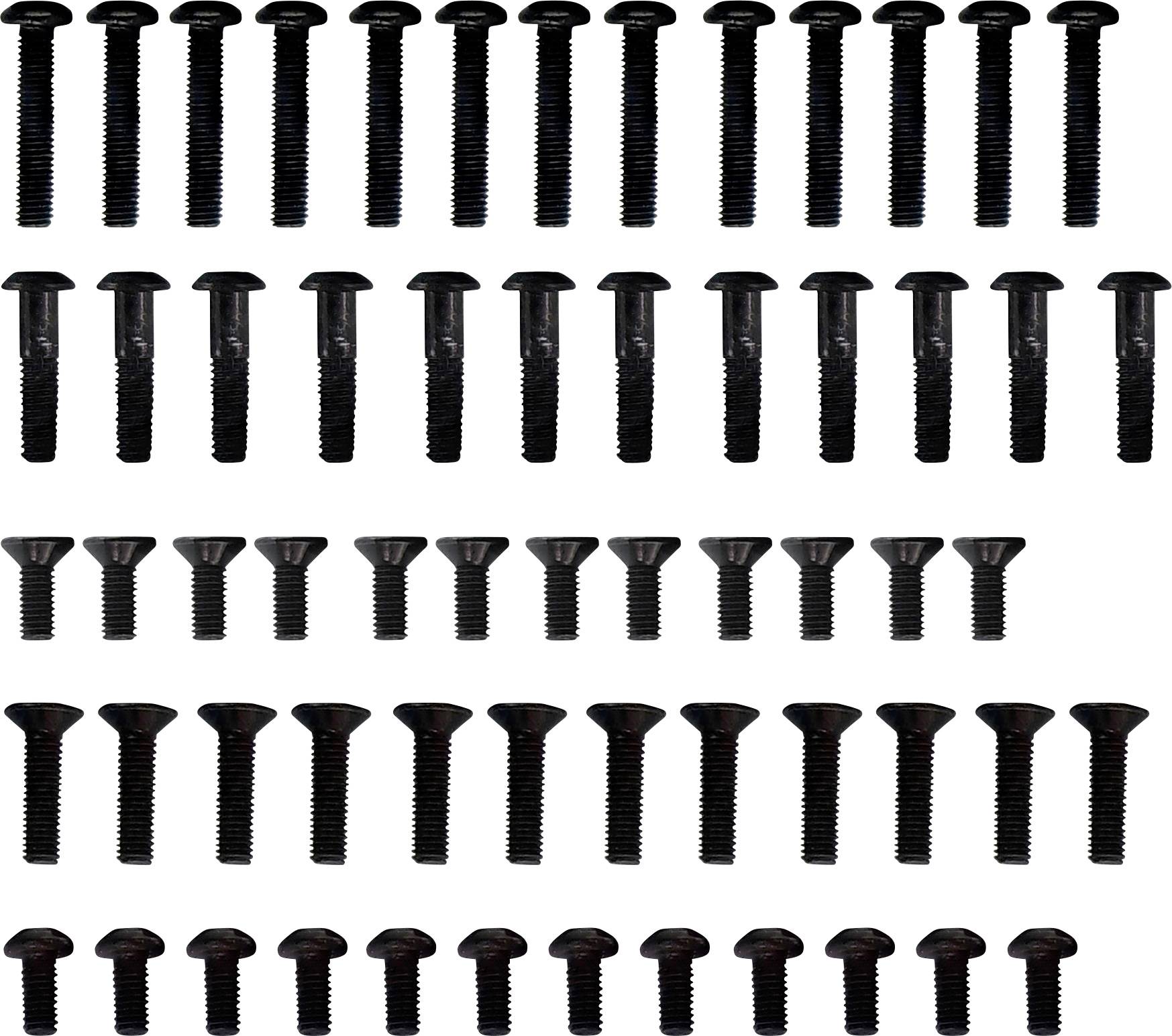 Ensemble de vis de différentes tailles, triées en rangées, adapté à divers travaux de montage.