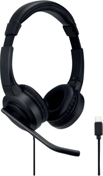 Casque noir avec microphone ajustable et connexion USB-C, idéal pour les appels téléphoniques ou les visioconférences.