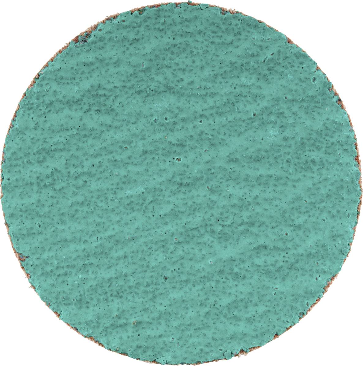 Un objet rond, bleu-vert et texturé sur un fond blanc.