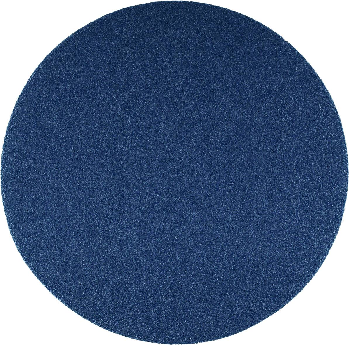 Un cercle rond, d'une seule couleur bleue.