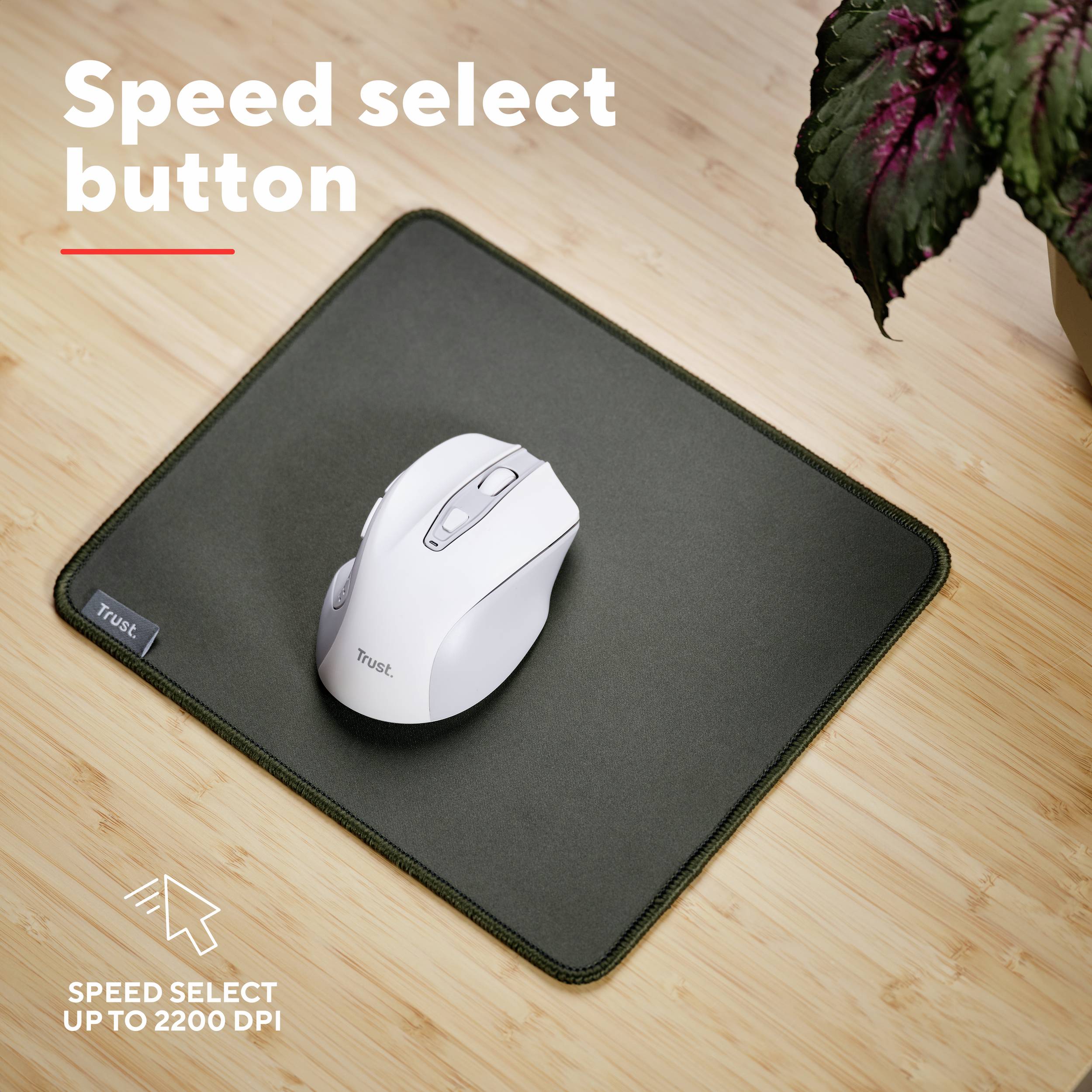 Trust NITO SILENT WIRELESS MOUSE - WHITE Souris sans fil, USB blanc 5 Boutons