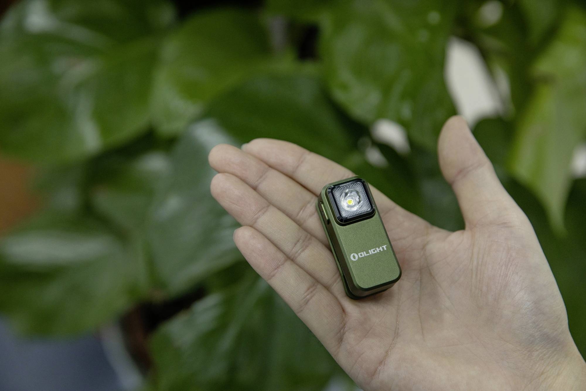 Une main tient une petite lampe de poche verte devant un arrière-plan de feuilles vertes.