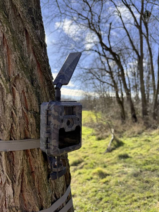 Caméra de chasse ICU CLOM Cam6 camouflage