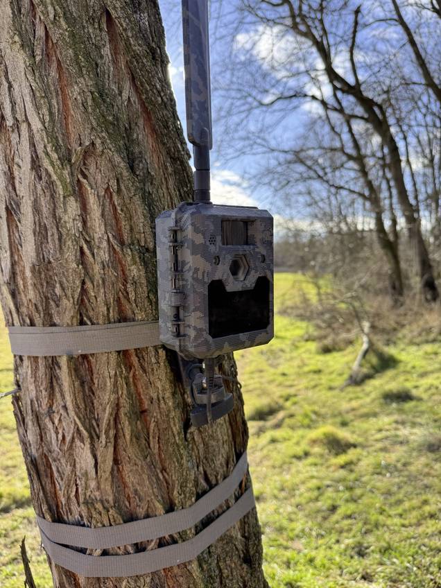 Caméra de chasse ICU CLOM Cam6 camouflage