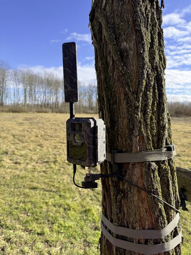 Caméra de chasse ICU CLOM Cam6 camouflage