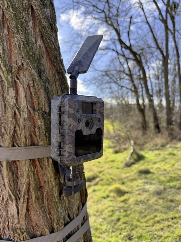 Caméra de chasse ICU CLOM Cam6 camouflage