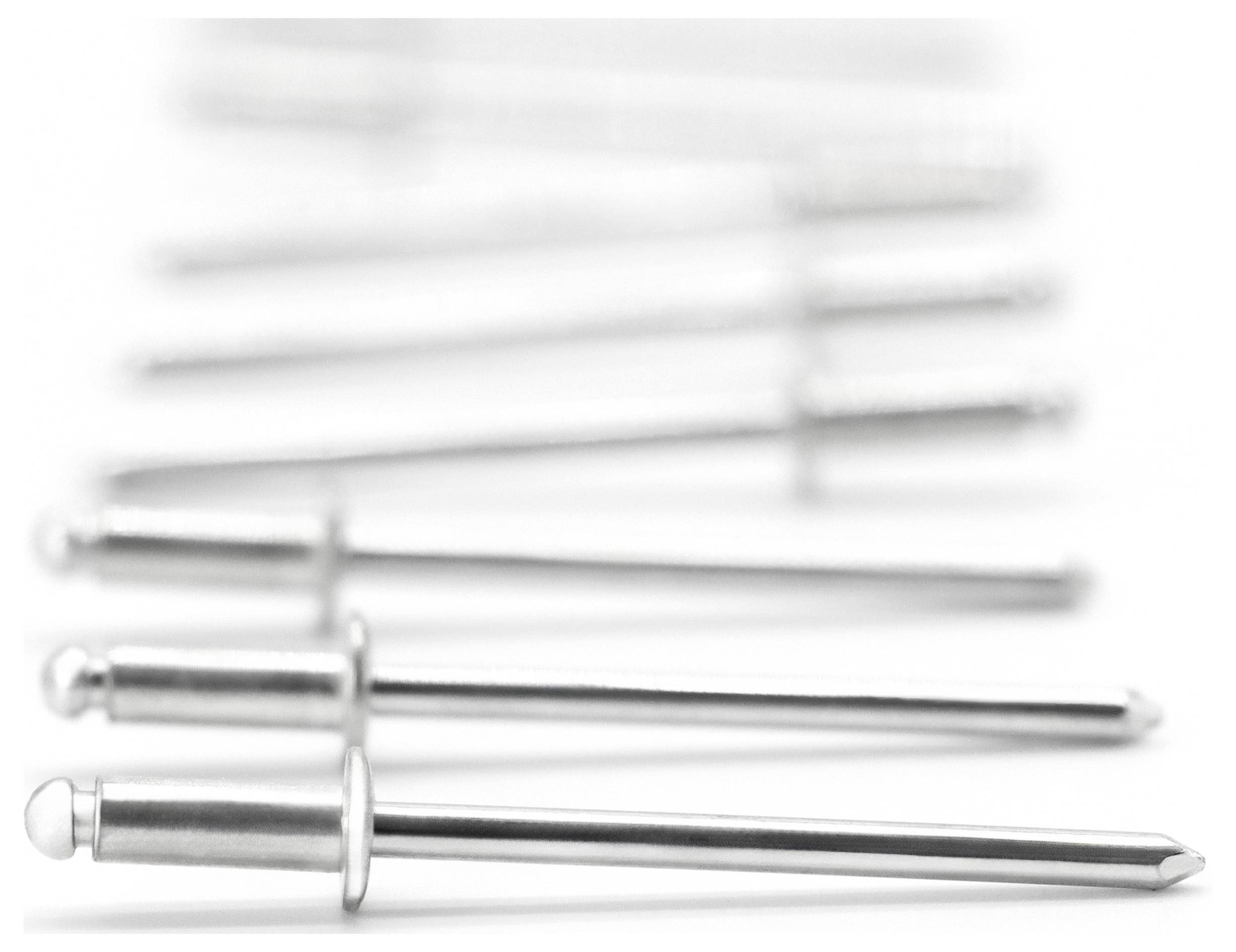 Gesipa 1538387 Rivet aveugle acier galvanisé acier galvanisé 500 pc(s)